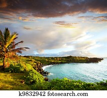 Hawaii Hawaii