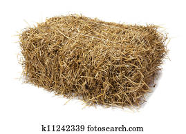 Hay