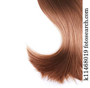 Healthy Brown Hair isolated on white