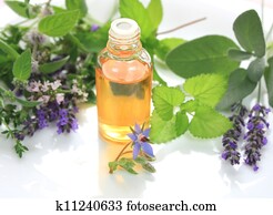 Herbs and oil Herbs and oil