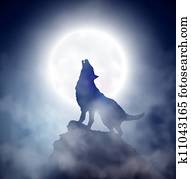 heulen, wolf heulen, wolf