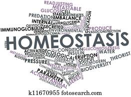 Homeostasis