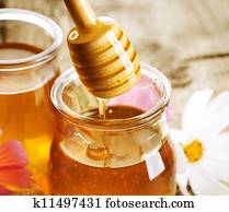 Honey Honey