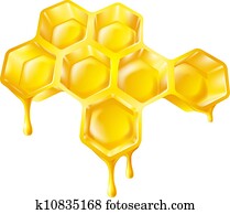 Honeycomb with dripping honey Honeycomb with dripping honey