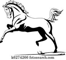 horse horse