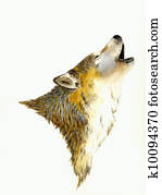 Howling Wolf Howling Wolf