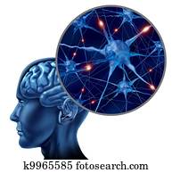 human, ativo, neurônios