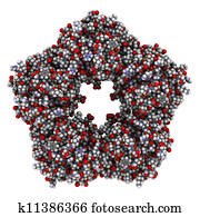 Human C-reactive protein (CRP), chemical structure. Human C-reactive protein (CRP), chemical structure.