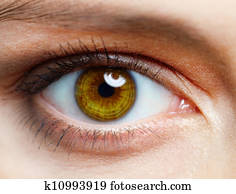 Human eye Human eye
