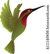 hummingbird hummingbird