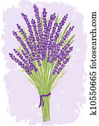 Illustration of lavender bouquet Illustration of lavender bouquet