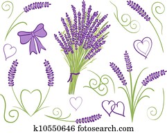 Illustration of lavender design elements Illustration of lavender design elements