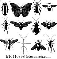 inseto, variedade, vetorial, silueta