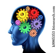 inteligência, cérebro, função