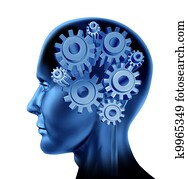 inteligência, e, cérebro, função