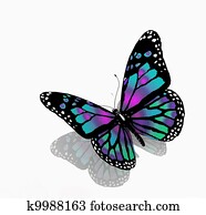 Isolated butterfly of blue color on a white background Isolated butterfly of blue color on a white background