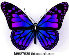 Isolated butterfly on a white back Isolated butterfly on a white back