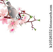 Jailli Oiseau Sur Fleur Cerisier Branche Japon Style