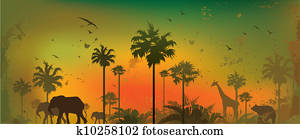 Jungle animals Jungle animals