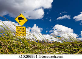 Kiwi Crossing road sign and volcano Ruapehu in NZ