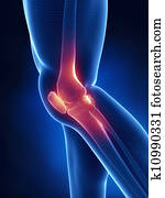 Knee x-ray blue anatomy Knee x-ray blue anatomy