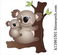 koala koala