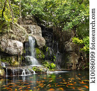 Koi fish in pond at the garden with a waterfall Koi fish in pond at the garden with a waterfall