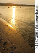 Lapping waves in the sun