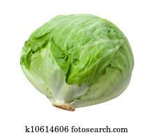 Lettuce Head Isolated on White Lettuce Head Isolated on White