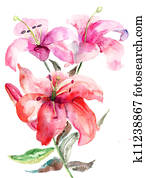 Lily flowers, watercolor illustration Lily flowers, watercolor illustration
