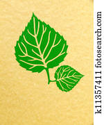 linden leaf linden leaf