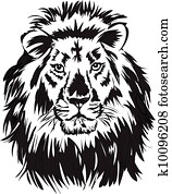 lion lion