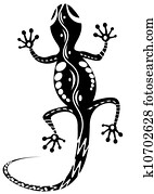 lizards lizards