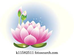 lotusblüte lotusblüte