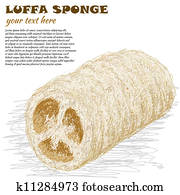 luffa sponge luffa sponge