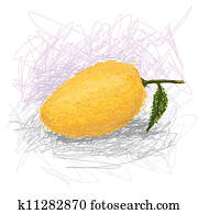 mango mango