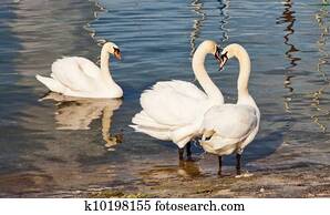 Menage a trois Menage a trois