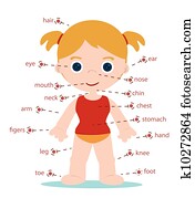 menina, partes corpo