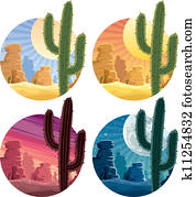 Mexican Desert Mexican Desert