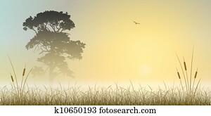 Misty Landscape Misty Landscape