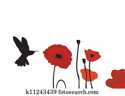 mohnblumen mohnblumen
