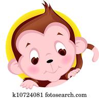 Monkey Monkey