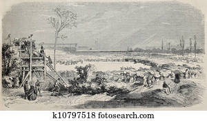 Montpellier horse racing