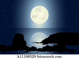 Moonlight Moonlight