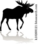Moose Moose