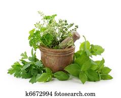 Mortar with herbs Mortar with herbs