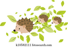 Mother hedgehog with babies Mother hedgehog with babies