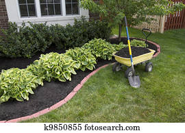 Mulching around the Bushes Mulching around the Bushes
