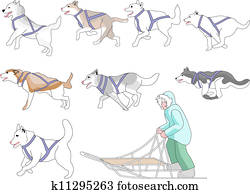musher, und, hunde, mischling, n, streichholz musher, und, hunde, mischling, n, streichholz