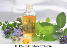 Natural fresh herbs Natural fresh herbs